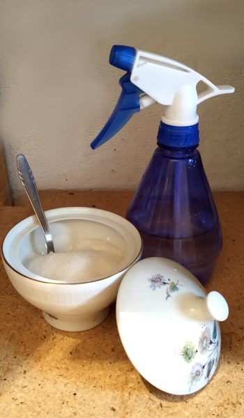 SprayBottleAndSugar
